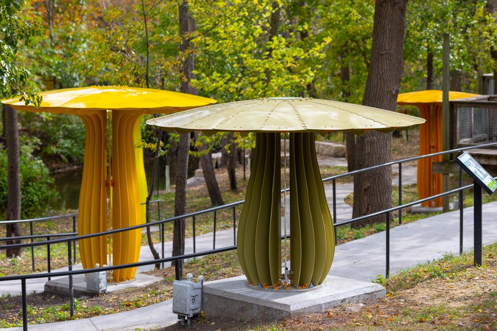 571069294 1252262903597776 9202941246471626884 n