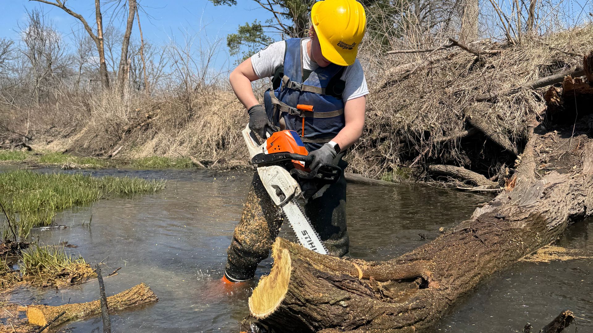 Untitled design (32)