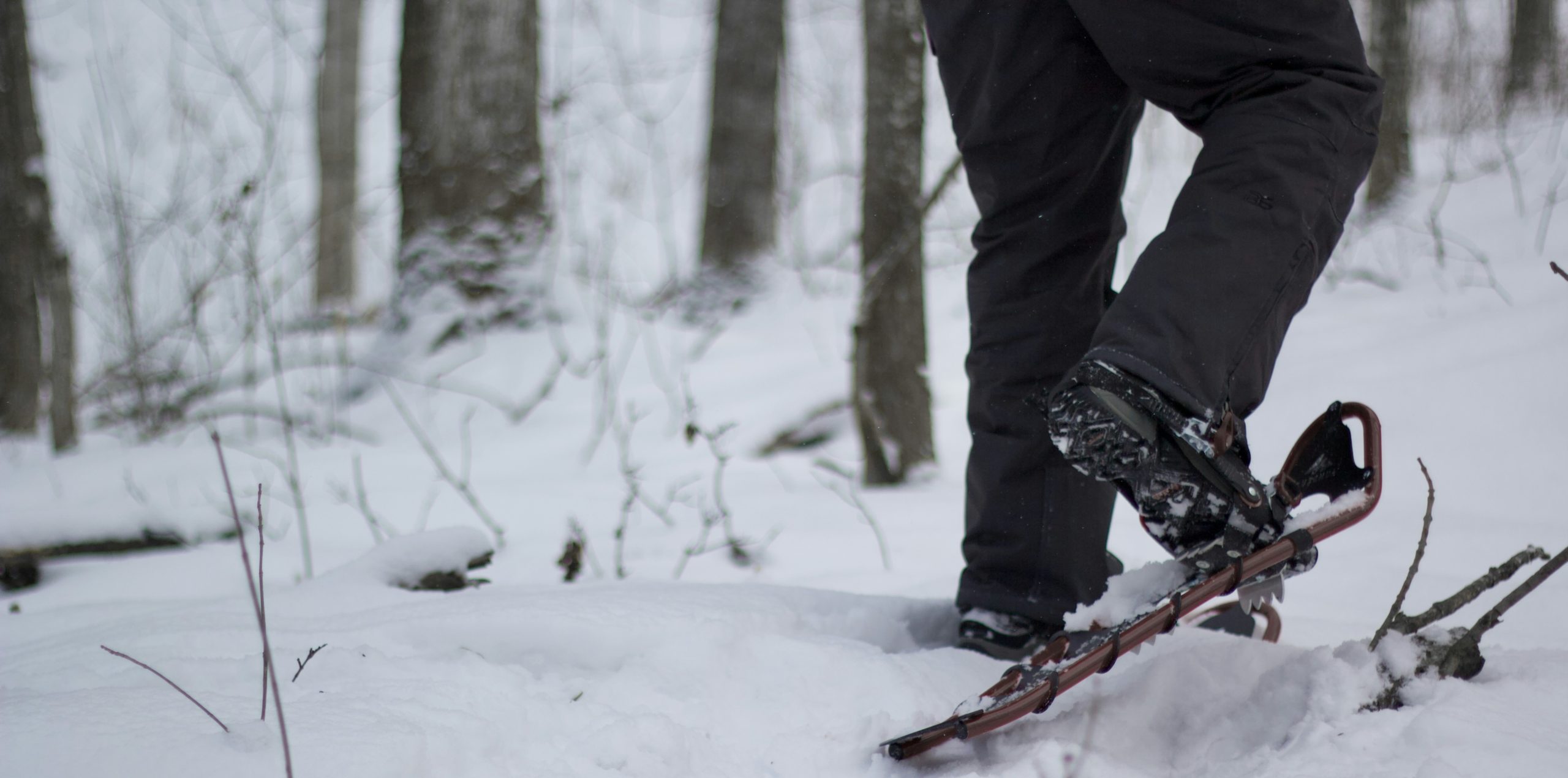 A person wearing snowshoes and walking on a snowy trail
