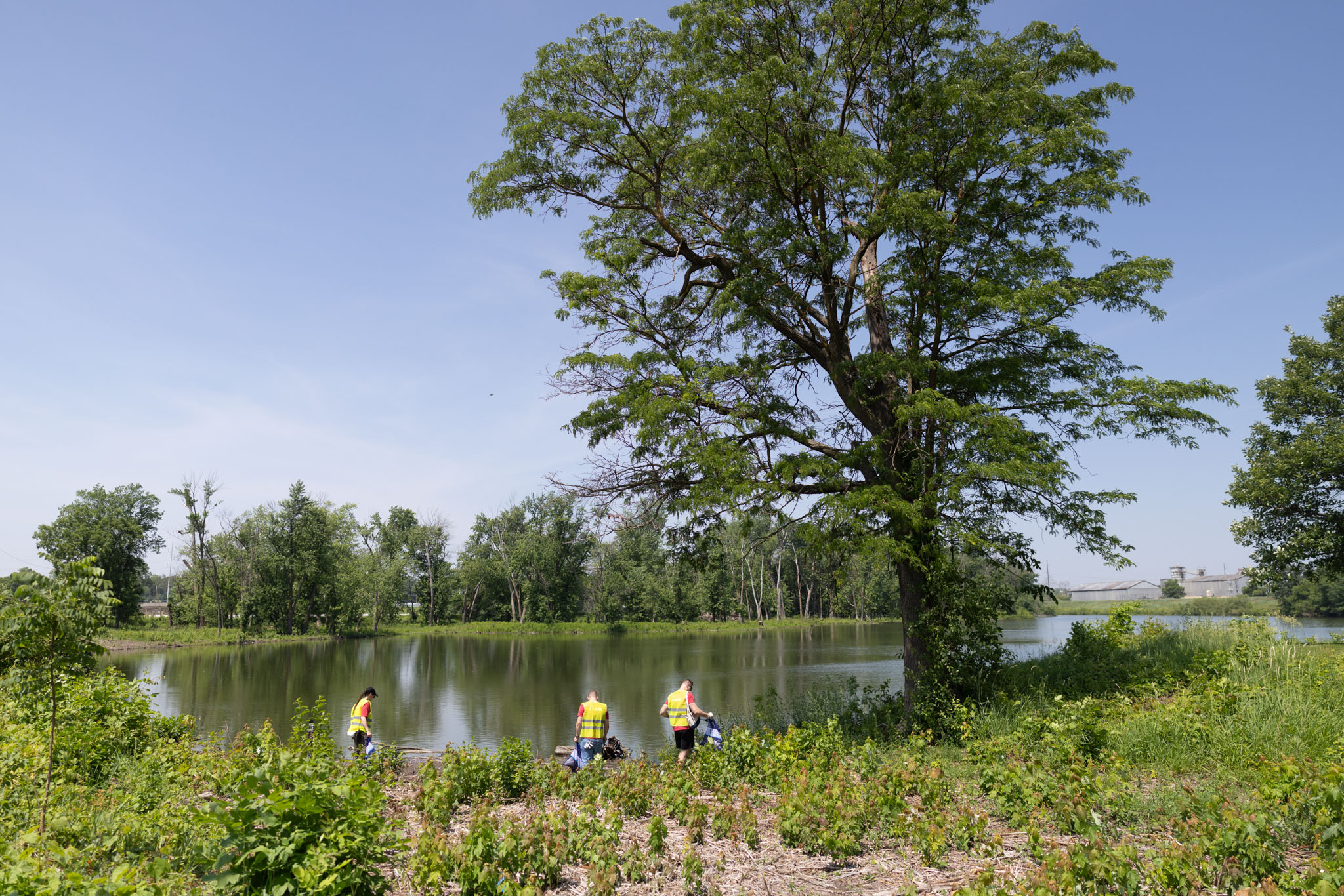 Volunteers in yellow shirts working down by a river