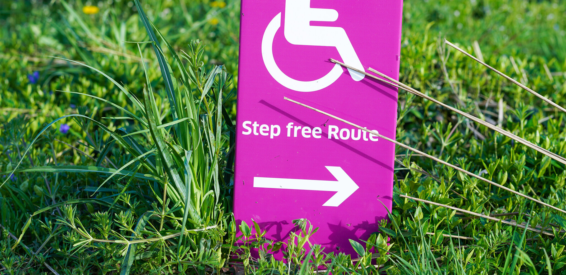 Blog-Diverse-1920×935-1 A bright pink handicap sign standing up in the grass that says Step Free Route with an arrow pointing to the right
