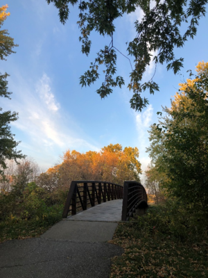 A bridge going across water and leaves on either side of the river are turning colors in fall