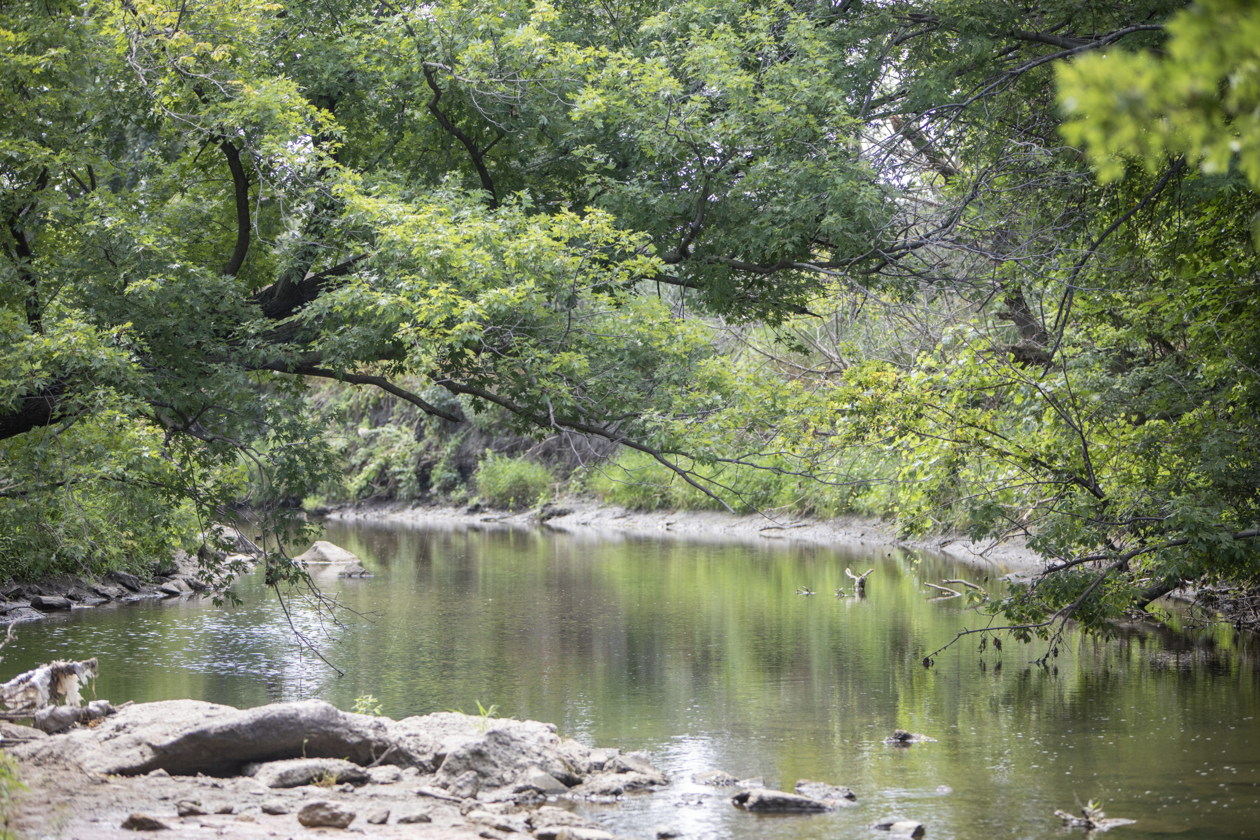 A tree covered section of Colby Park