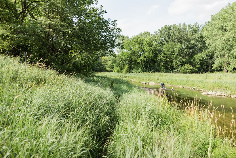 A view of the single track trail that a family took to get in to the creek