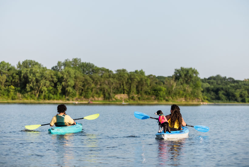 Backview of two people kayaking on the river. One of the people has a dog wearing a lifejacket standing on the back on their kayak.