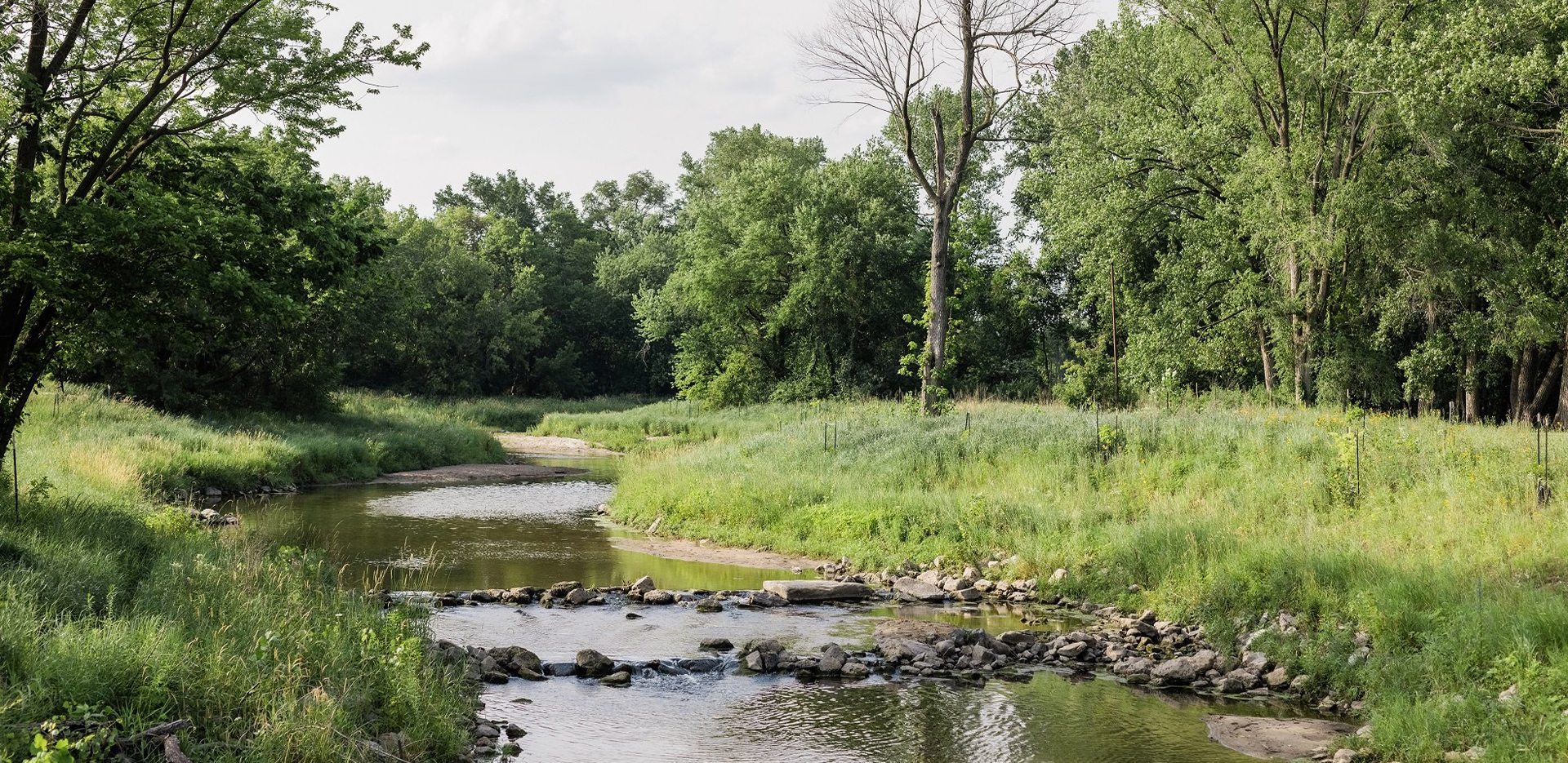 Great-Outdoors-Foundation-Announce-1920×935-1 Stream through the woods