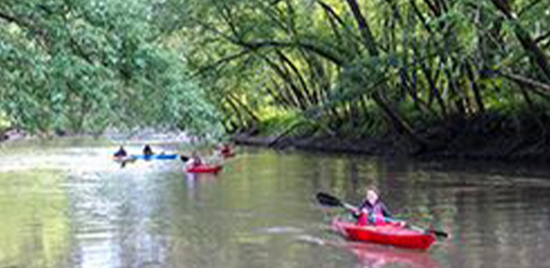 News-Regional-1920×935-1 A group of kayakers going down the river under a shade of trees