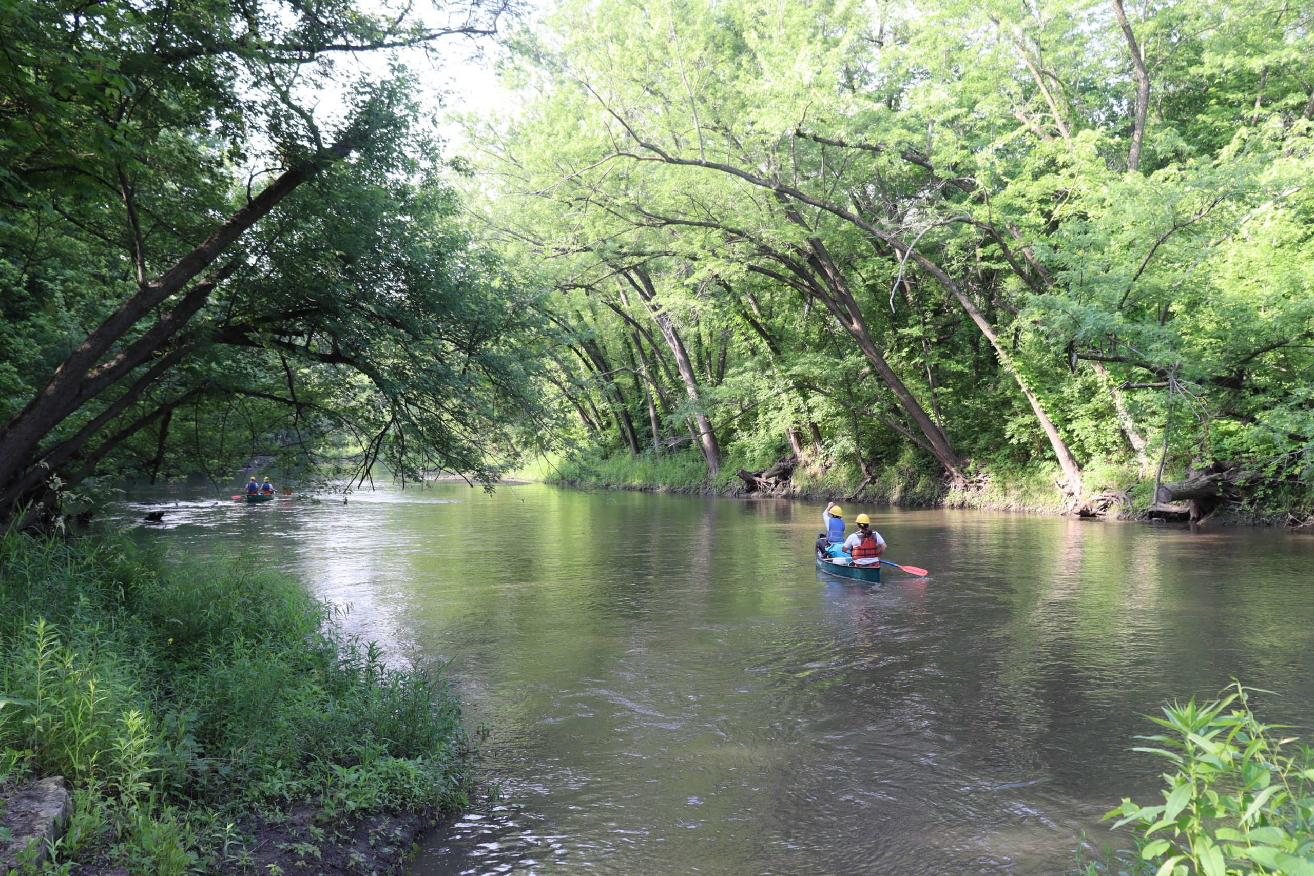 Conservation corp padding up the river in two canoes